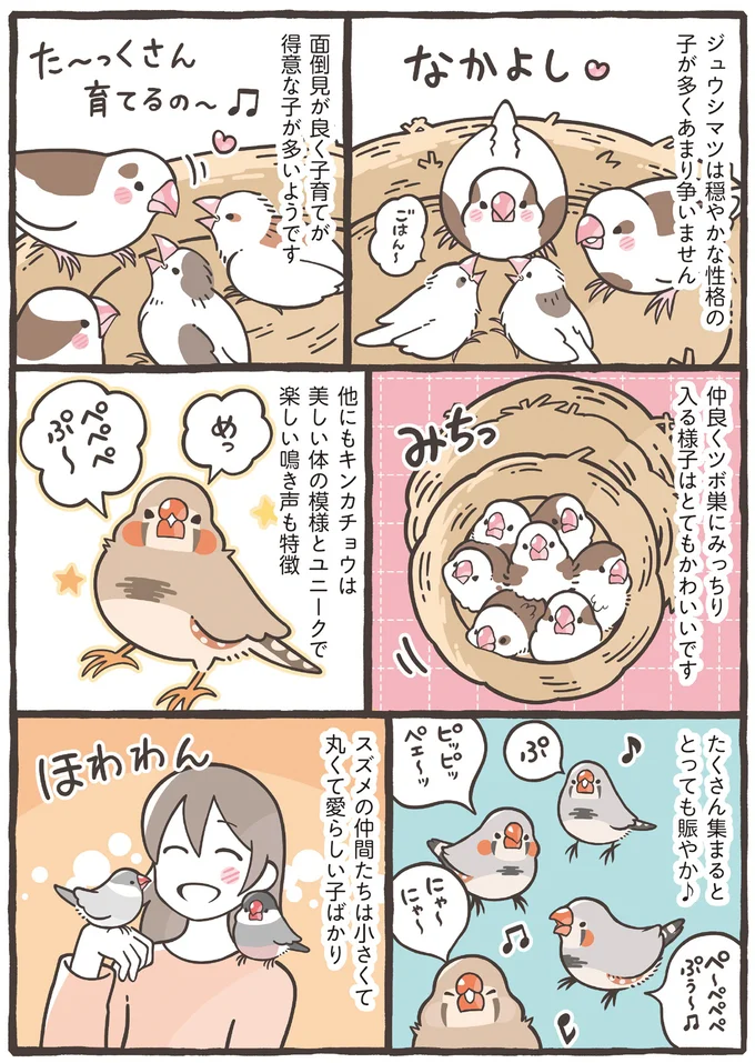 『トリ扱い説明書』より