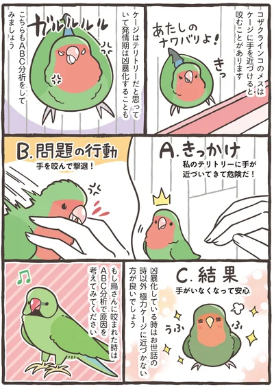 『トリ扱い説明書』より