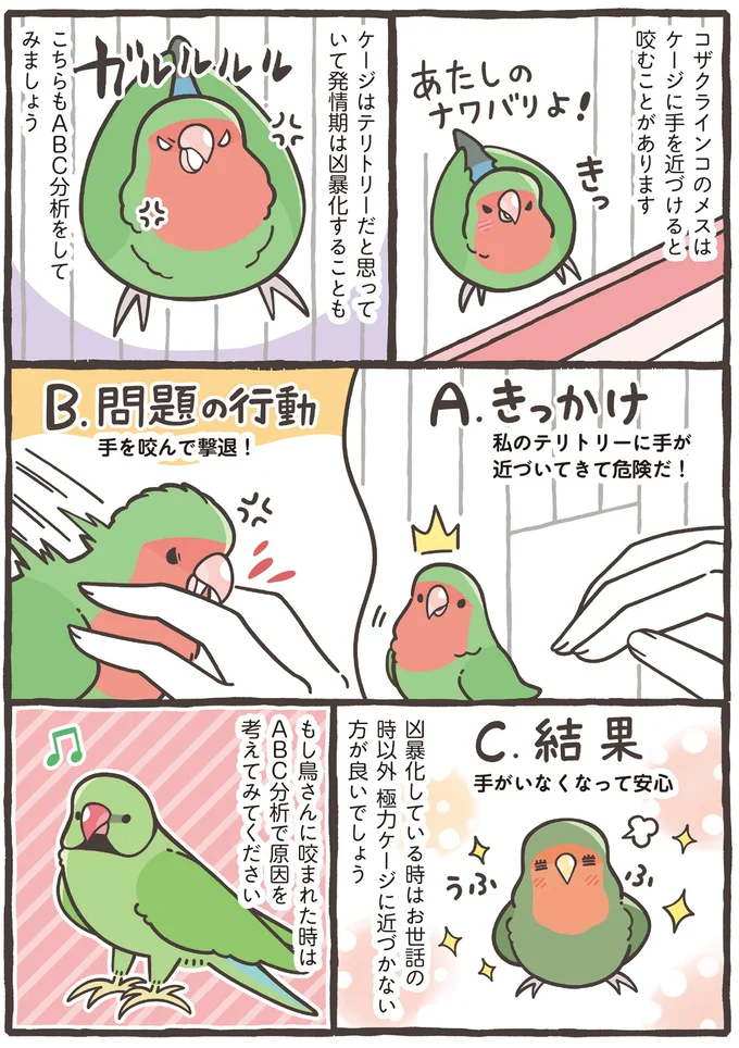 『トリ扱い説明書』より