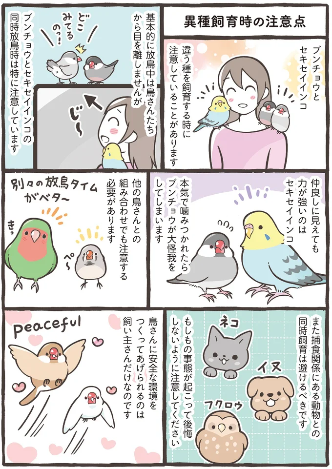 『トリ扱い説明書』より
