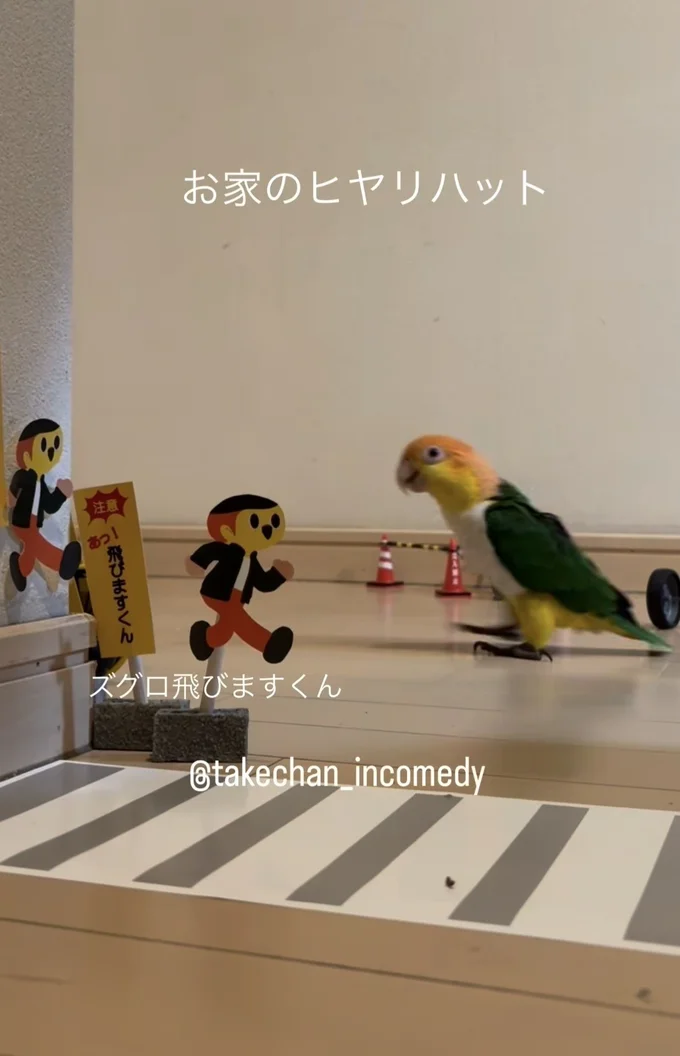 とことこ歩く「のび太くん」（⇒次へ）