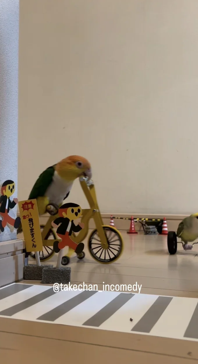 自転車に乗って再登場▶あ！なんか来た…（⇒次へ）