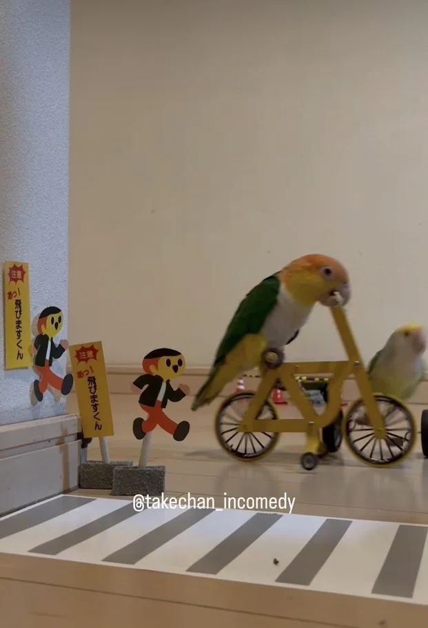 自転車を漕ぎ続ける、のび太くん▶ぶつかる！？（⇒次へ）
