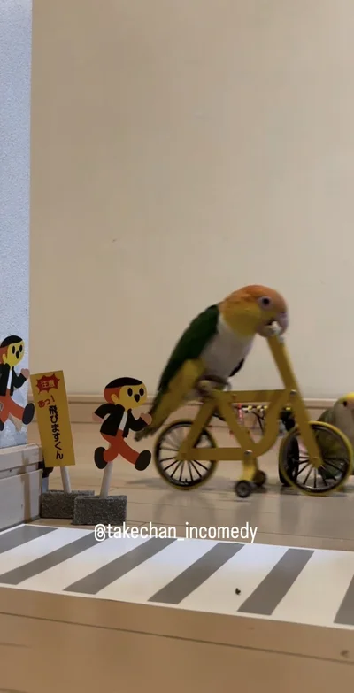 危なーい！▶衝突してしまい…（⇒次へ）