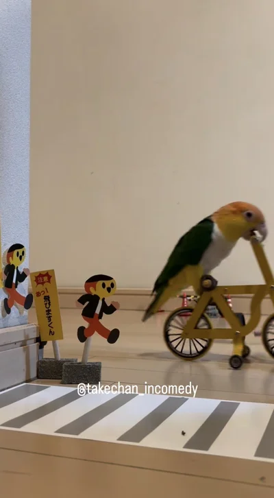 飛んで行った、じゃい子ちゃん▶ミニチュアとインコたち（⇒次へ）