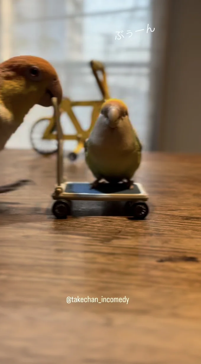 交代して、別のインコが台車を押してる▶インコが畑の収穫！？（⇒次へ）