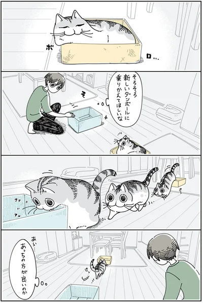 『夜は猫といっしょ5』より