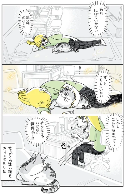 『夜は猫といっしょ5』より