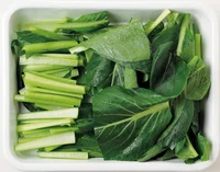 生のまま冷凍できる野菜って？ 料理に活用しやすい保存方法