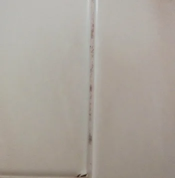 浴室のドアパッキンのカビ攻略法を試してみた！