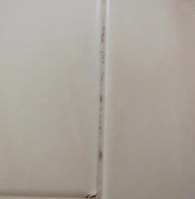 落としきれなかったパッキンのカビ…。