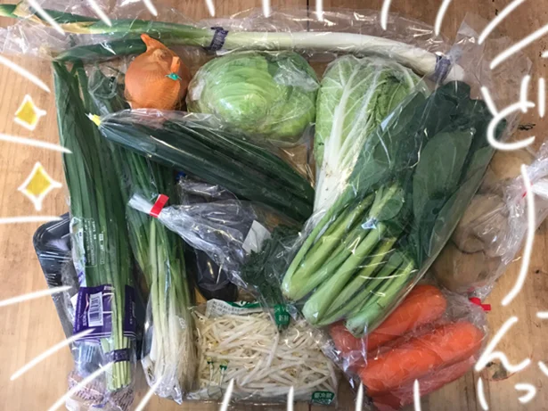 【画像を見る】冷凍保存できると知って買ってきた大量の野菜たち