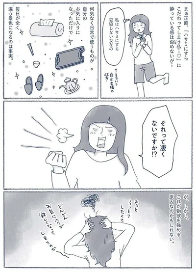 『わたしのウチには、なんにもない。3 モノとの上手なつき合いかた』より