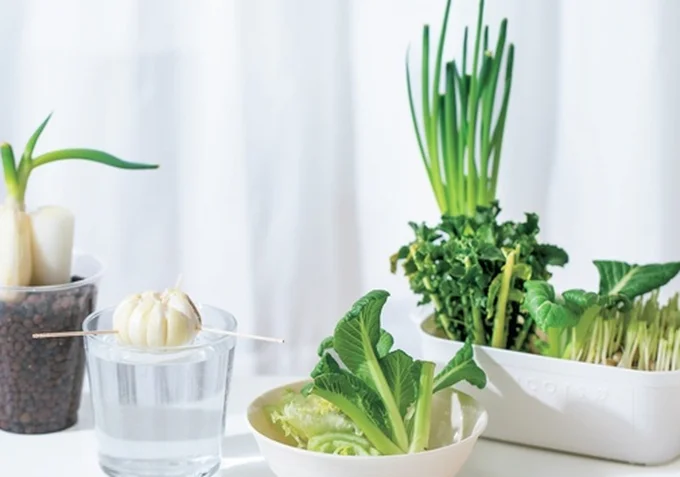 「リボべジ」のキホン