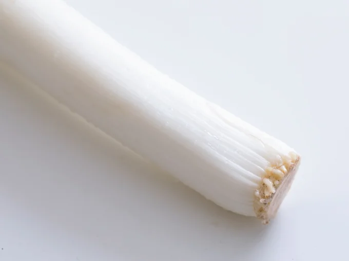 根が生えているものを選んで