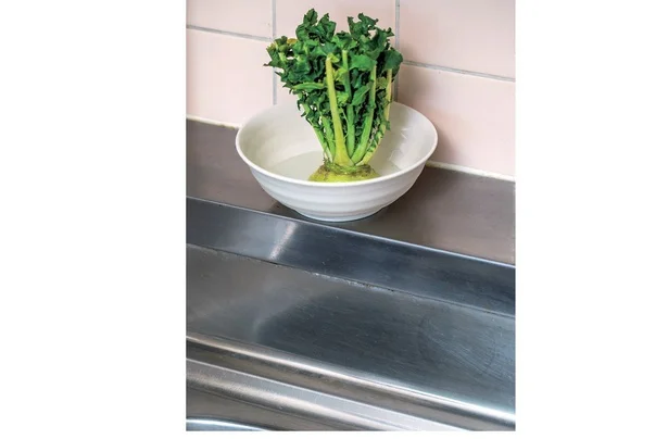 シンクの横がリボベジのベストポジション。