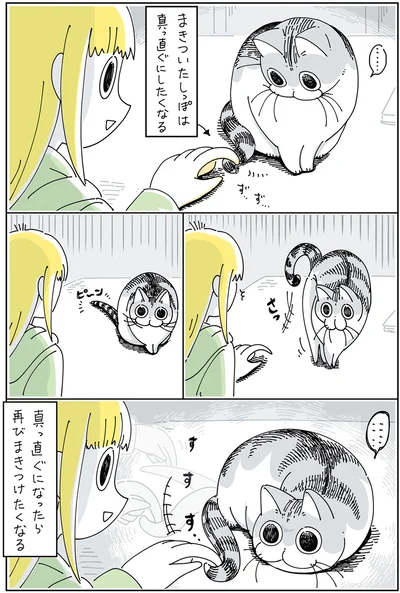 『夜は猫といっしょ 3』より