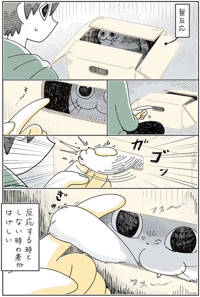 『夜は猫といっしょ 3』より