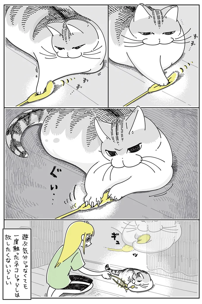 一度触ったネコじゃらしは放したくないらしい
