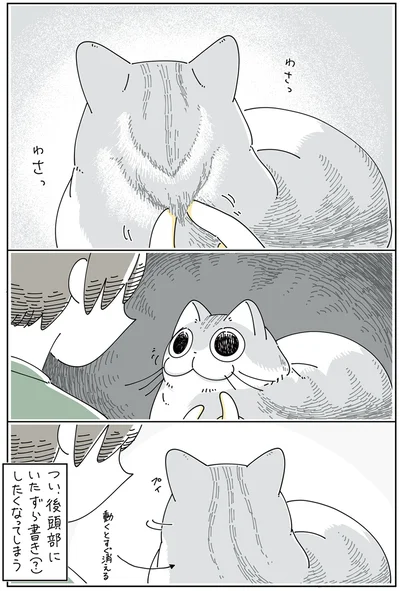 『夜は猫といっしょ 4』より