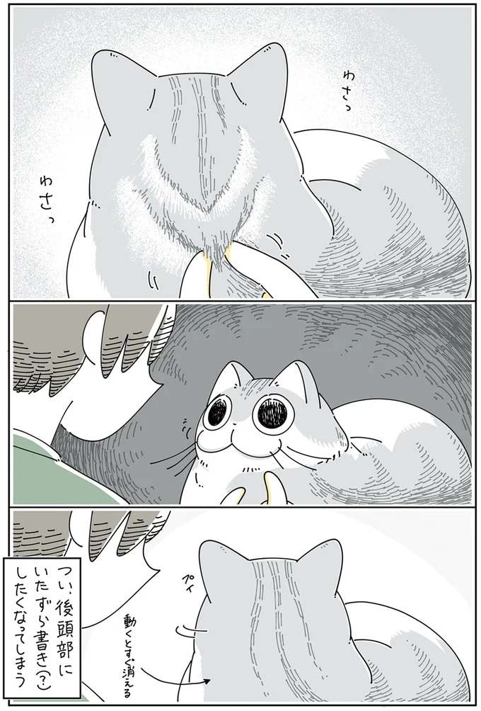 『夜は猫といっしょ 4』より