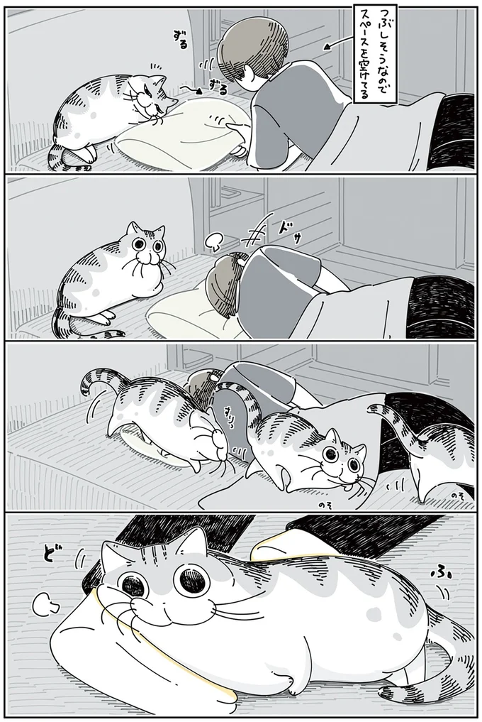 『夜は猫といっしょ 4』より