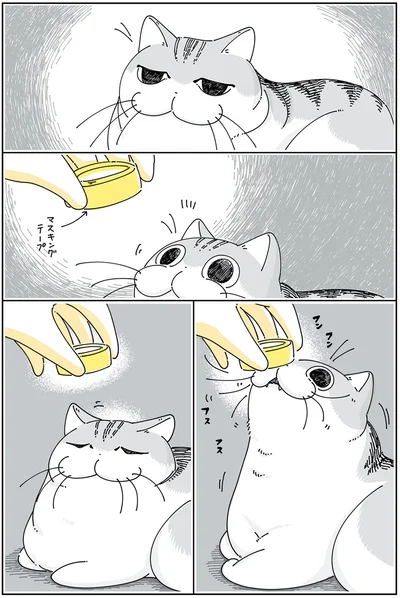 『夜は猫といっしょ 4』より