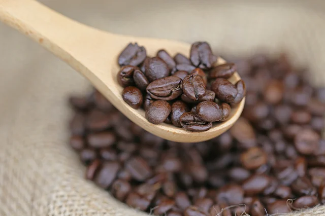 【写真を見る】コーヒー豆はまず“豆の色”の好みを決めるのが大事