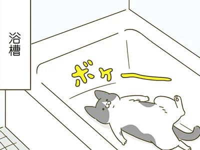 ボケ～～