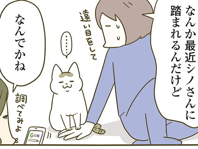 なんだか最近、猫によく踏まれる。不思議に思った飼い主が心理を調べてみると