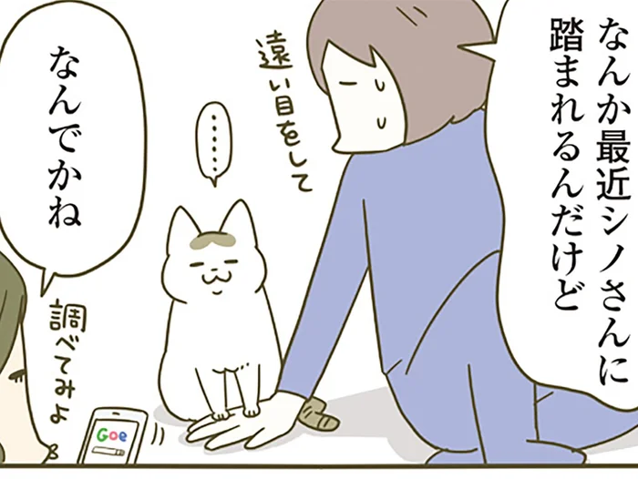 なんだか最近、猫によく踏まれる。不思議に思った飼い主が心理を調べてみると