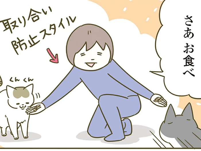 ふわふわの鰹節に大興奮！ 「いいにおい、いいにおい」お目々キラキラ猫に迫る悲劇
