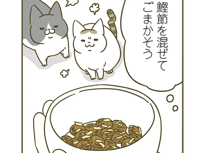 「違うの食べさせろー」試供品のフードが超不評！ 猫たちに食べてもらうための施策