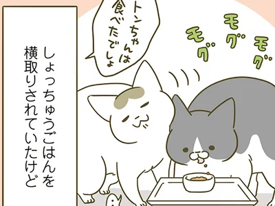 横取りされていたけれど…