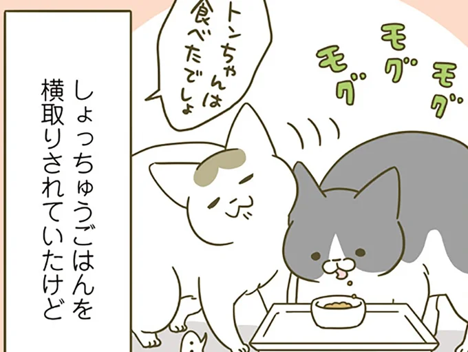 横取りされていたけれど…
