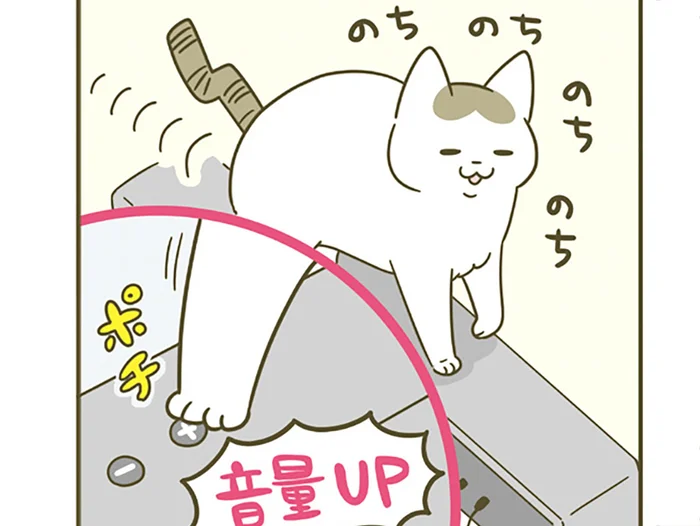 テレビ用スピーカーの上をのんびり歩く猫が、たびたび引き起こす思わぬ事故
