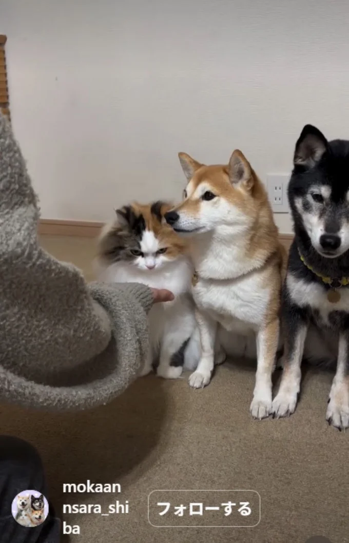 サラちゃん完璧！▶残るは…（⇒次へ）
