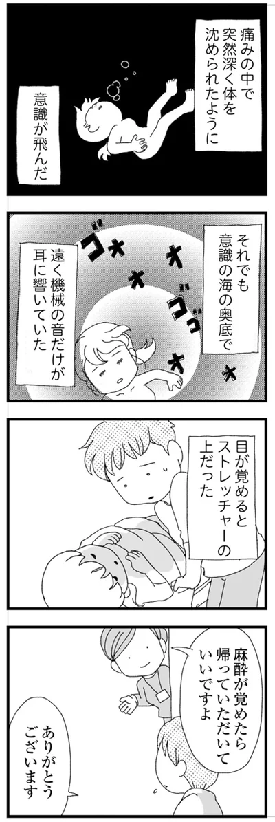 『腐りゆく家族』 より