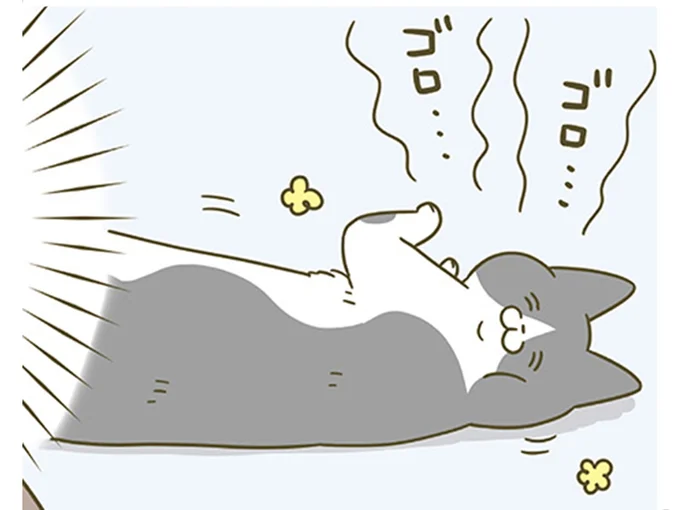 「かわいい」と言われるのが大好きな猫