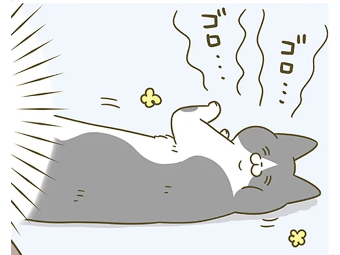 「今日もかわいいな」猫に思う飼い主。喜ぶ姿を見て、提唱する「ある説」