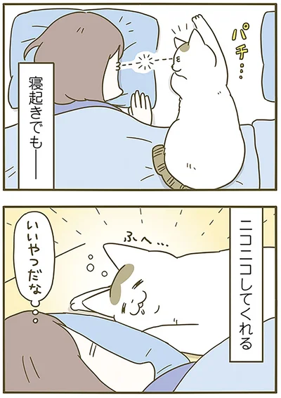 『うちの猫がまた変なことしてる。6』より