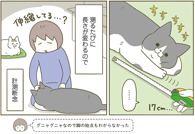『うちの猫がまた変なことしてる。6』より