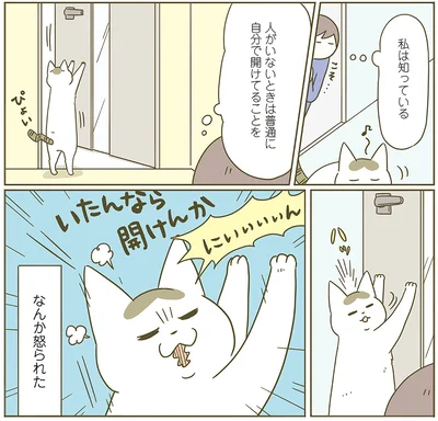 『うちの猫がまた変なことしてる。6』より