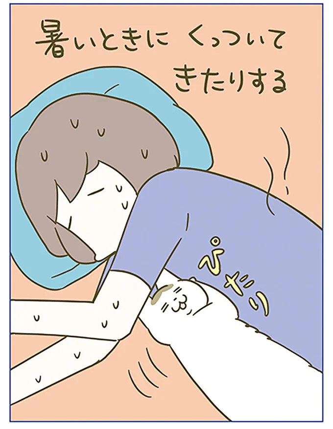 『うちの猫がまた変なことしてる。6』より