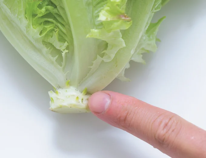 芯が見えるかをチェック。