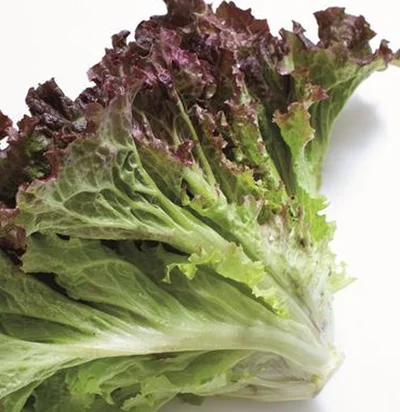 お弁当にも便利！