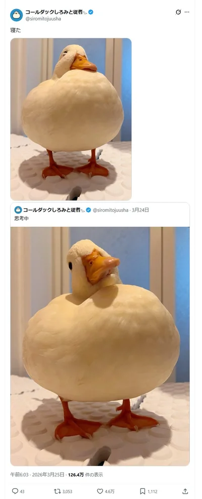 まさかの寝落ちに4.6万いいね！▶首をかしげて…（⇒次へ）