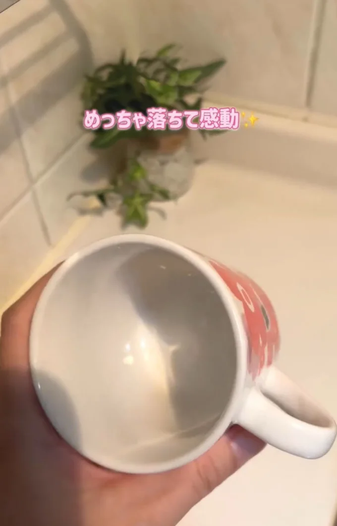 ピカピカに！▶（次画像から毎日を楽しく過ごすためのヒントが満載！『メンタル強め美女白川さん5』が読めます）