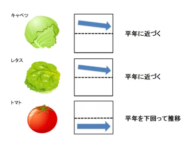 【グラフを見る】2月下旬の野菜の価格動向