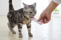 猫の健康を考える飼い主は必見！ 添加物なし＆乳酸菌FK-23配合の新おやつ